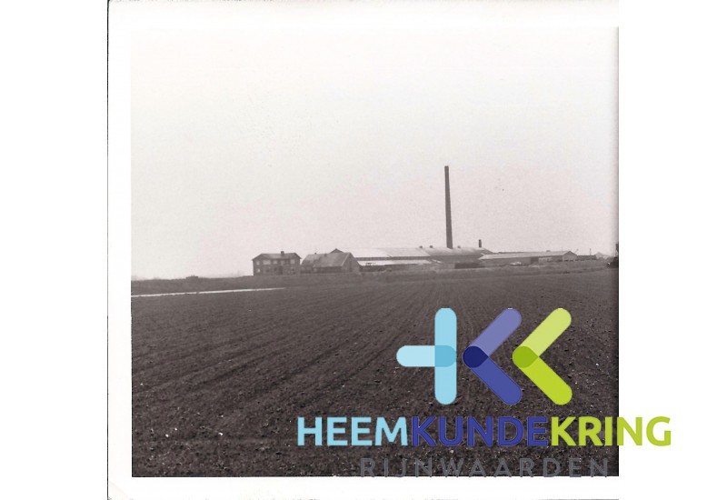 Kijfwaard Steenfabriek woningen 1969 Pannerden (2)